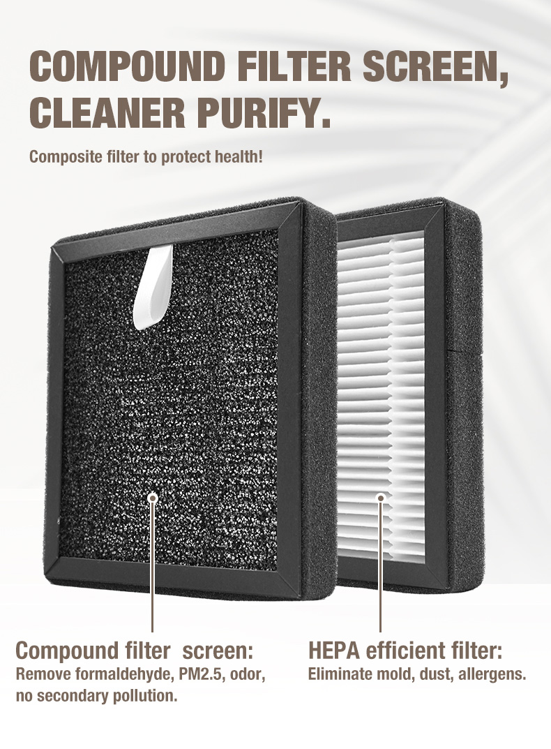 Pemasok Pembersih Udara OLANSI A1 (11)