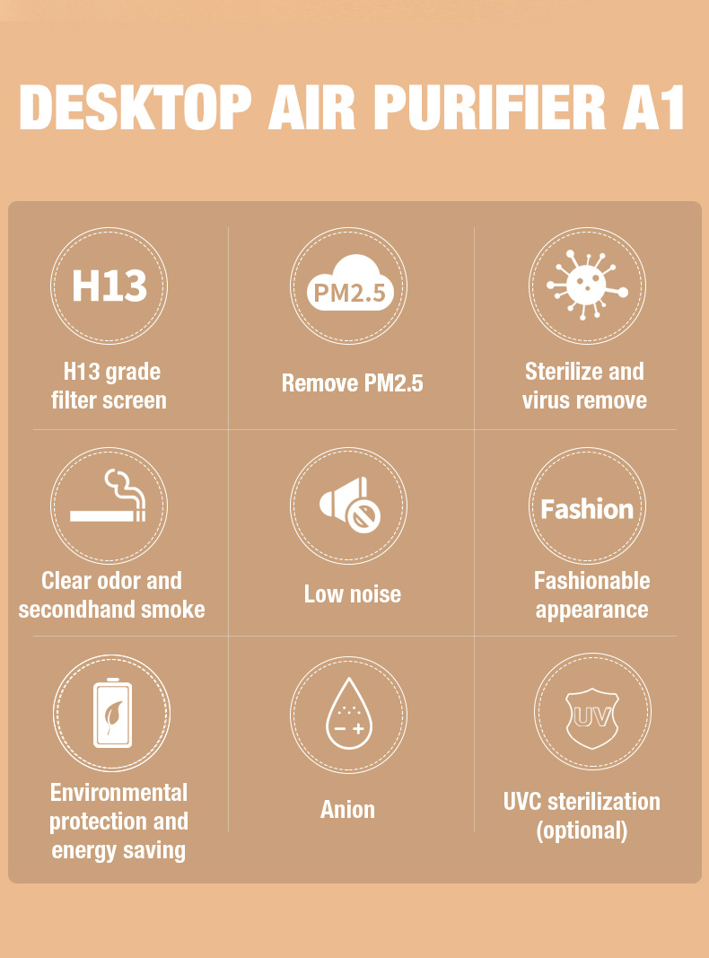 Pemasok Pembersih Udara OLANSI A1 (2)