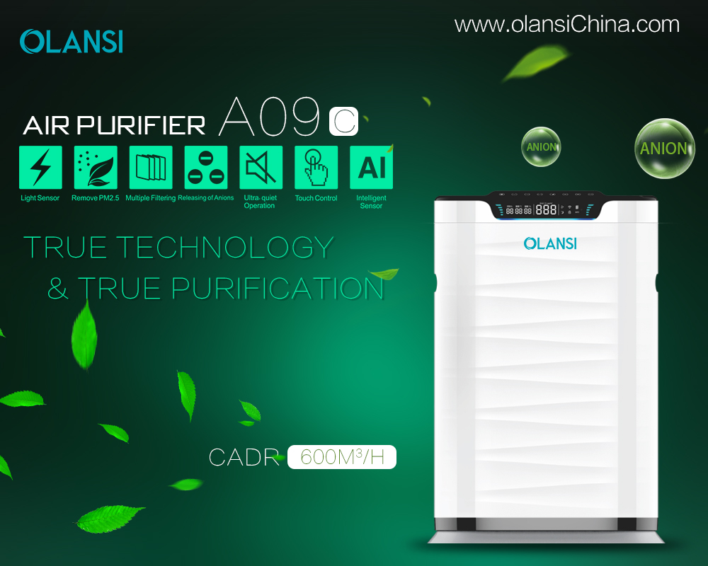 Cina Olansi Air Purifier Produsen (71)