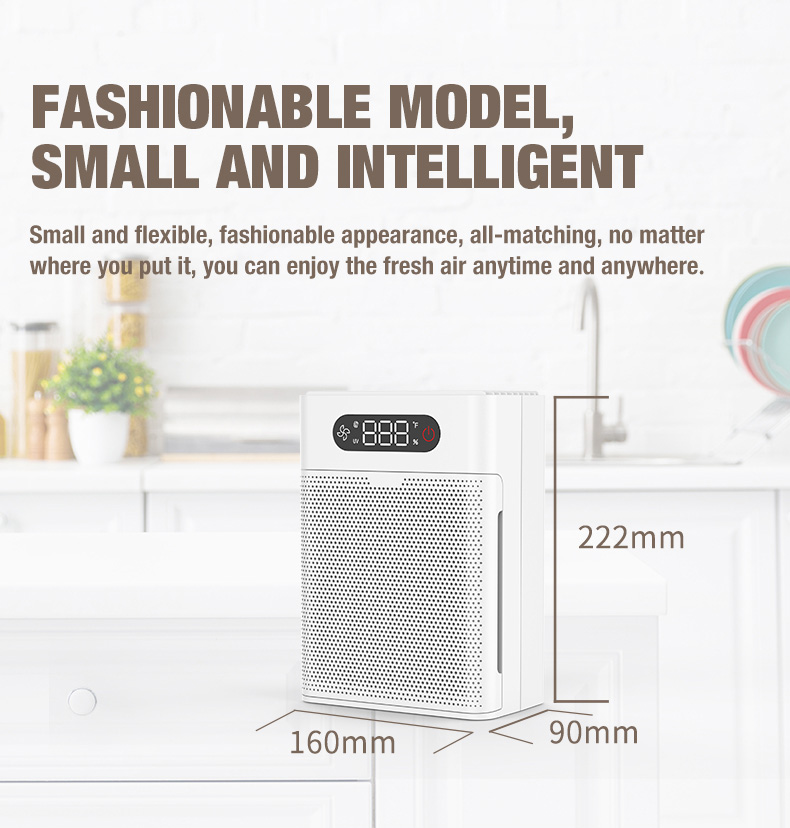 Pemasok pembersih udara olansi a1 (3)