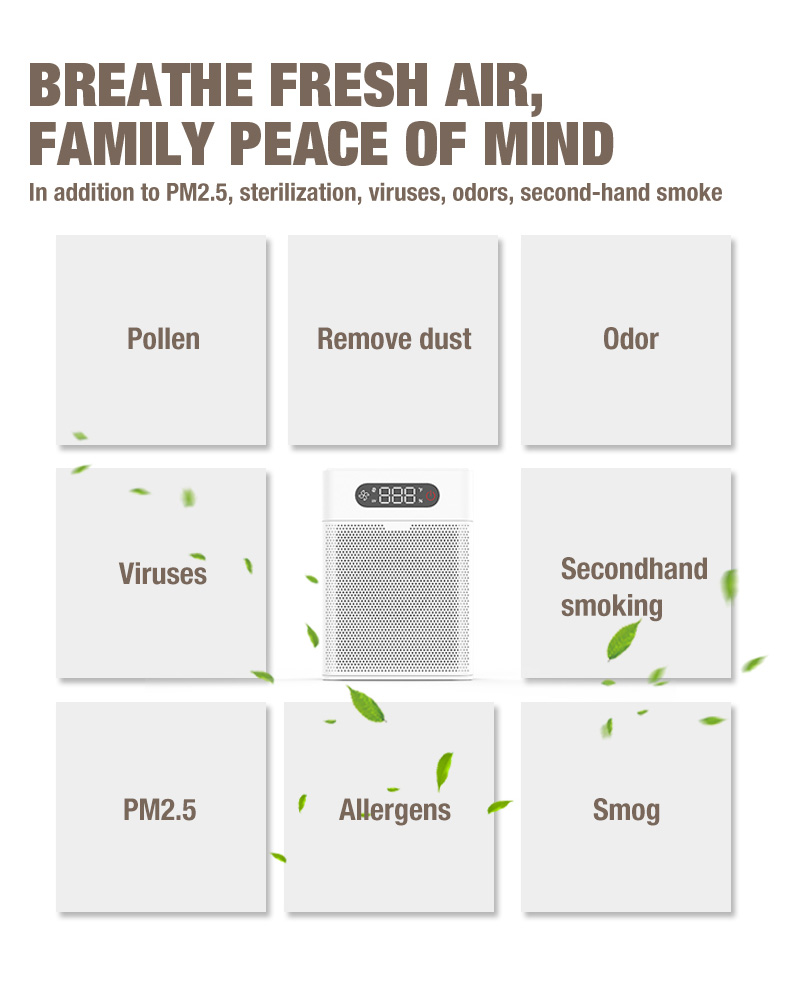 Pemasok Pembersih Udara OLANSI A1 (6)