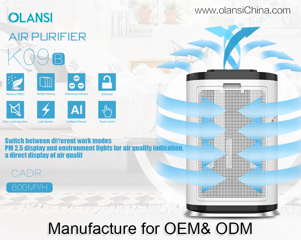 Pemasok Pembersih Udara Olanssi (16)